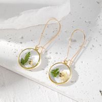 1 Pair Vacation Sweet Simple Style Flower Resin Drop Earrings main image 5