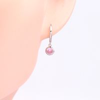 1 Pair Simple Style Round Inlay Sterling Silver Birthstone Drop Earrings main image 9