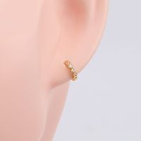 1 Pair Elegant Round Plating Inlay Sterling Silver Zircon White Gold Plated Gold Plated Earrings main image 4