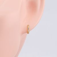 1 Pair Elegant Round Plating Inlay Sterling Silver Zircon White Gold Plated Gold Plated Earrings main image 8