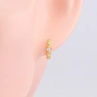 1 Pair Simple Style Round Plating Inlay Sterling Silver Zircon Gold Plated Earrings main image 7