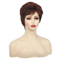 Women's Simple Style Party Stage Street High Temperature Wire Side Fringe Straight Hair Wig Net main image 4