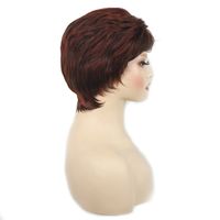 Women's Simple Style Party Stage Street High Temperature Wire Side Fringe Straight Hair Wig Net main image 2