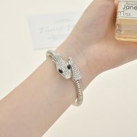 Style Simple Brillant Serpent Alliage Placage Incruster Strass Femmes Bracelets Collier main image 3