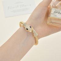 Einfacher Stil Glänzend Schlange Legierung Überzug Inlay Strasssteine Frau Armbänder Halskette sku image 1
