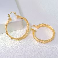 1 Pair Elegant Lady Round Plating Copper Gold Plated Earrings main image 6