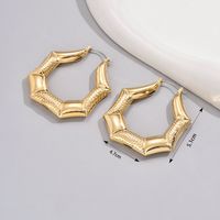 1 Pair Retro Simple Style Solid Color Ferroalloy Earrings main image 5
