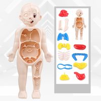 Doctor Toys Human Plastic Toys main image 5