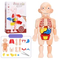 Doctor Toys Human Plastic Toys main image 3