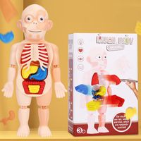 Doctor Toys Human Plastic Toys main image 1