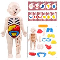 Doctor Toys Human Plastic Toys main image 4