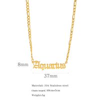 Simple Style Constellation Stainless Steel Plating Pendant Necklace sku image 13