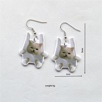 1 Pair Cute Vacation Sweet Cat Fish Arylic Metal Drop Earrings main image 8
