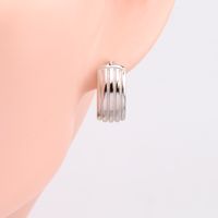 1 Pair Basic Round Plating Sterling Silver Earrings main image 6