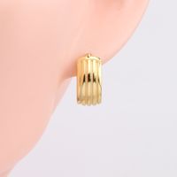 1 Pair Basic Round Plating Sterling Silver Earrings main image 5