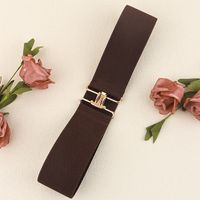 Vacation Formal Simple Style Color Block Alloy Buckle Women's Woven Belts main image 4