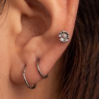 1 Piece Simple Style Round Flower Inlay 316 Stainless Steel  Zircon Ear Studs main image 1