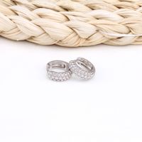 1 Pair Simple Style Round Plating Sterling Silver Earrings main image 8