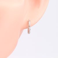 1 Pair Simple Style Waves Inlay Sterling Silver Zircon Earrings main image 6