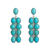 1 Pair Elegant Luxurious Oval Inlay Alloy Turquoise Drop Earrings main image 6