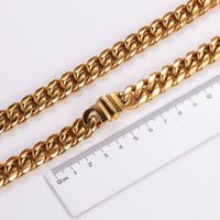 304 Stainless Steel 18K Gold Plated Hip-Hop Rock Plating Solid Color Necklace main image 6