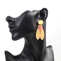 1 Pair Ig Style Simple Style Insect Arylic Drop Earrings main image 4