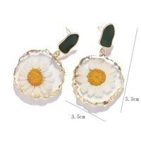 1 Pair Ig Style Sweet Flower Arylic Drop Earrings main image 2