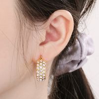 1 Pair Simple Style Round Plating Inlay Stainless Steel Zircon 18K Gold Plated Earrings main image 7