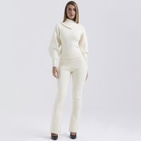Täglich Frau Elegant Strassenmode Einfarbig Polyester Hosen-sets Hosen-sets sku image 7