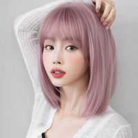 Women's Sweet Holiday Party High Temperature Wire Bangs Short Straight Hair Wig Net main image 1