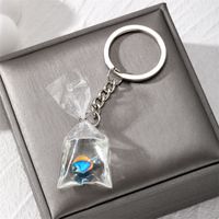 Casual Vintage Style Simple Style Fish Resin Bag Pendant Keychain main image 6