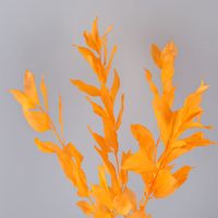 Simple Style Classic Style Solid Color Dried Flower Imitation Plants Artificial Flowers sku image 2