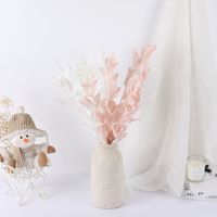 Simple Style Classic Style Solid Color Dried Flower Imitation Plants Artificial Flowers main image 1