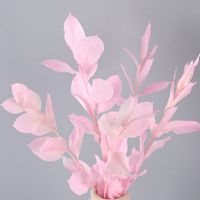 Simple Style Classic Style Solid Color Dried Flower Imitation Plants Artificial Flowers sku image 3