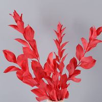Einfacher Stil Klassischer Stil Einfarbig Getrocknete Blumen Nachgemachte Pflanzen Künstliche Blumen sku image 4