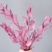 Einfacher Stil Klassischer Stil Einfarbig Getrocknete Blumen Nachgemachte Pflanzen Künstliche Blumen sku image 9