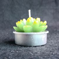 Pastoral Simple Style Cactus Paraffin Candle main image 1