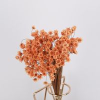 Pastoral Flower Dried Flower Artificial Flowers sku image 3