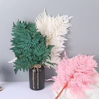 Einfacher Stil Klassischer Stil Einfarbig Getrocknete Blumen Nachgemachte Pflanzen Künstliche Blumen main image 1