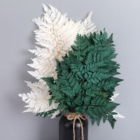 Simple Style Classic Style Solid Color Dried Flower Imitation Plants Artificial Flowers main image 5