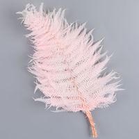 Simple Style Classic Style Solid Color Dried Flower Imitation Plants Artificial Flowers sku image 15