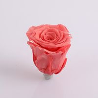 Valentine's Day Romantic Pastoral Flower Plastic Party Festival Preserved Flower main image 2