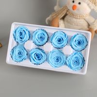 Valentine's Day Romantic Pastoral Flower Plastic Party Festival Preserved Flower sku image 18