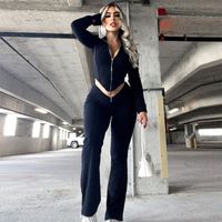Daily Women's Casual Streetwear Solid Color Spandex Polyester Pants Sets Pants Sets sku image 10