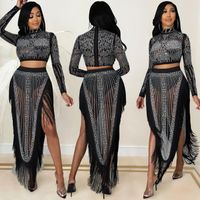 Daily Street Women's Elegant Sexy Solid Color Polyester Diamond Skirt Sets Skirt Sets main image 1