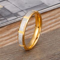 Titan Stahl 18 Karat Vergoldet Einfacher Stil Geometrisch Ringe main image 6