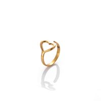Simple Style Heart Shape Stainless Steel Plating 18k Gold Plated Rings Earrings main image 10