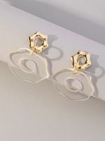 1 Pair Simple Style Geometric Arylic Drop Earrings main image 5
