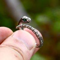 Wholesale Funny Snake Copper Plating Silver Plated Rings main image 3