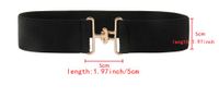Vacation Formal Simple Style Color Block Alloy Buckle Women's Woven Belts main image 2